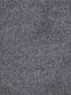 Show Stopper II Residential Carpet Color: Pavillion - Dreamweaver by Engineered Floors