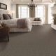 All About It Carpet Collection Color: Meteorite - Shaw Floors
