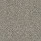 Dream Weaver Caramel Swirl Carpet