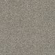 Dream Weaver Caramel Swirl Carpet