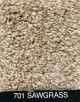 Carpet Sawgrass Dreamweaver 