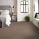 Smooth Talk II Carpet Collection Color: Cedar Key - Shaw Floors