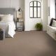 Smooth Talk II Carpet Collection Color: Warm Wood - Shaw Floors