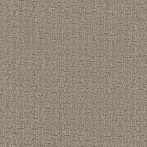 Dream Weaver Almond Bark Carpet