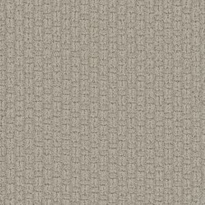 Dream Weaver Blizzard Blast Carpet