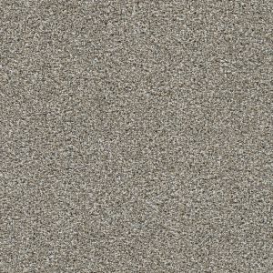 Dream Weaver Caramel Swirl Carpet