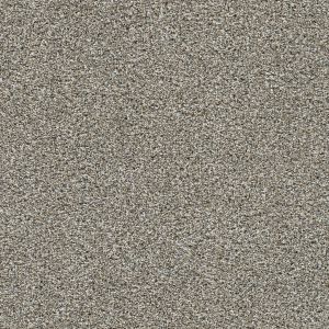 Dream Weaver Caramel Swirl Carpet