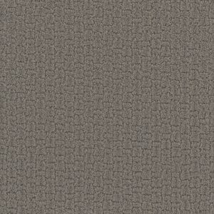 Dream Weaver Castleberrry Carpet