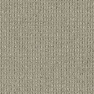 Dream Weaver Del Mar Carpet