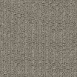 Dream Weaver Desert Flower