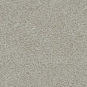 Dream Weaver Fairview Carpet