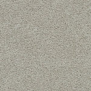 Dream Weaver Fairview Carpet