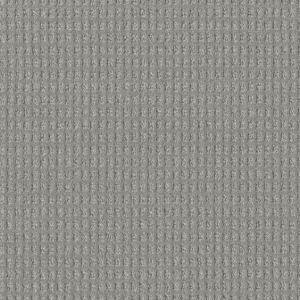 Dream Weaver Haven Carpet