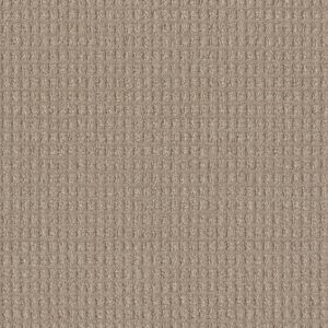 Dream Weaver Light Wheat Carpet