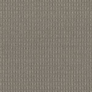 Dream Weaver Lodgestone Carpet