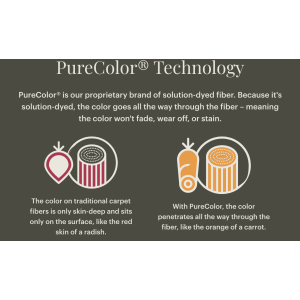 Carpet PureColor Technology