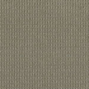 Dream Weaver Ravishing Carpet
