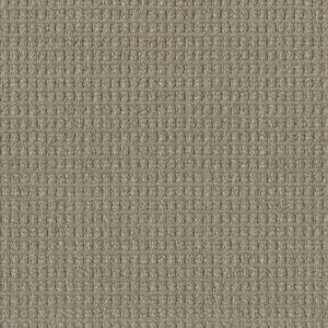 Dream Weaver Regal Carpet