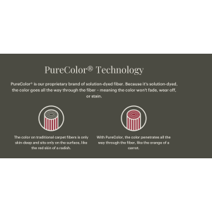 Dream Weaver Autumn Glow 1 