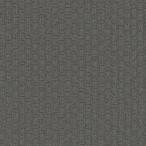 Dream Weaver Stonehaven Carpet