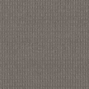 Dream Weaver Moon Stone Carpet