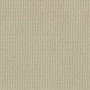 Dream Weaver Wishful Carpet